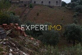 Terreno R�stico - Gra�a, Pedr�g�o Grande, Leiria - Miniatura: 7/7