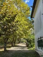 Moradia T3 - S�o Silvestre, Coimbra, Coimbra - Miniatura: 27/29