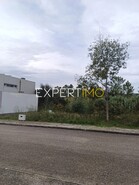 Terreno R�stico - An��, Cantanhede, Coimbra - Miniatura: 2/2