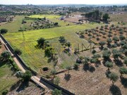 Quinta - Tourais, Seia, Guarda - Miniatura: 2/9