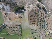 Quinta - Tourais, Seia, Guarda - Miniatura: 3/9