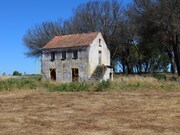 Quinta - Tourais, Seia, Guarda - Miniatura: 4/9