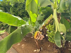 Moradia - N�o Definido, N�o Definido, N�o Definido - Miniatura: 6/29