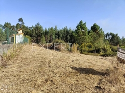 Terreno R�stico - N�o Definido, N�o Definido, N�o Definido - Miniatura: 10/18