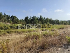 Terreno R�stico - N�o Definido, N�o Definido, N�o Definido - Miniatura: 11/18