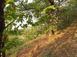 Terreno R�stico - N�o Definido, N�o Definido, N�o Definido - Miniatura: 10/20