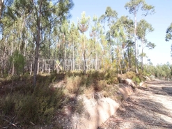 Terreno R�stico - N�o Definido, N�o Definido, N�o Definido - Miniatura: 4/4