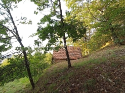 Terreno R�stico - N�o Definido, N�o Definido, N�o Definido - Miniatura: 14/20