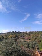 Moradia T3 - Pombal, Pombal, Leiria - Miniatura: 3/11