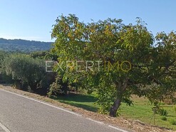 Moradia T3 - Pombal, Pombal, Leiria - Miniatura: 7/11