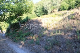 Terreno R�stico - N�o Definido, N�o Definido, N�o Definido - Miniatura: 12/20