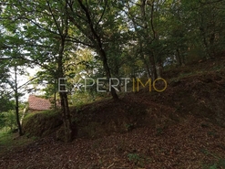 Terreno R�stico - N�o Definido, N�o Definido, N�o Definido - Miniatura: 13/20