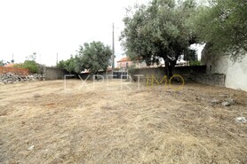 Terreno R�stico - Pombal, Pombal, Leiria - Miniatura: 2/9