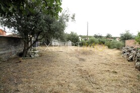 Terreno R�stico - Pombal, Pombal, Leiria - Miniatura: 3/9