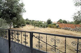 Terreno R�stico - Pombal, Pombal, Leiria - Miniatura: 7/9
