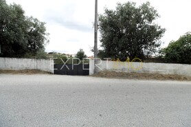 Terreno R�stico - Pombal, Pombal, Leiria - Miniatura: 8/9