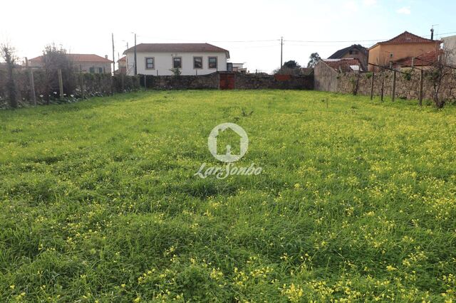 Terreno Rstico - Madalena, Vila Nova de Gaia, Porto - Imagem grande