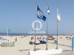 Terreno R�stico - Esmoriz, Ovar, Aveiro - Miniatura: 1/7