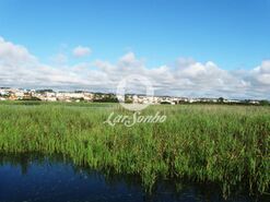 Terreno R�stico - Esmoriz, Ovar, Aveiro - Miniatura: 5/7