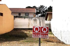 Terreno R�stico - Esmoriz, Ovar, Aveiro - Miniatura: 4/7