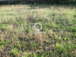 Terreno R�stico - Anta, Espinho, Aveiro - Miniatura: 2/6