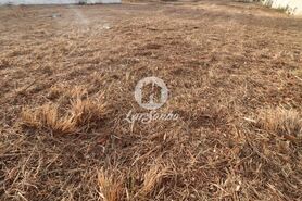 Terreno R�stico - Anta, Espinho, Aveiro - Miniatura: 4/6