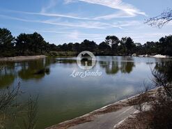 Terreno R�stico - Esmoriz, Ovar, Aveiro - Miniatura: 4/12