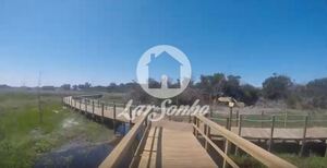 Terreno R�stico - Esmoriz, Ovar, Aveiro - Miniatura: 5/12