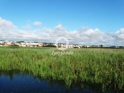 Terreno R�stico - Esmoriz, Ovar, Aveiro - Miniatura: 10/12