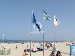 Terreno R�stico - Esmoriz, Ovar, Aveiro - Miniatura: 12/12