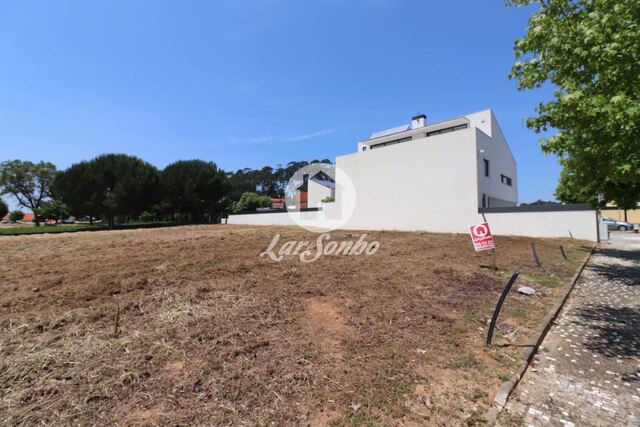 Terreno R�stico - Anta, Espinho, Aveiro - Imagem grande