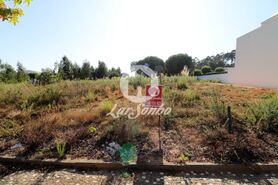 Terreno R�stico - Anta, Espinho, Aveiro - Miniatura: 1/9