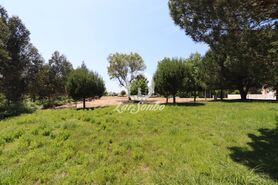 Terreno R�stico - Anta, Espinho, Aveiro - Miniatura: 2/9