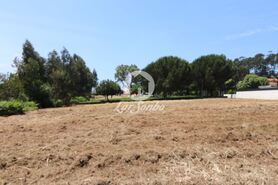 Terreno R�stico - Anta, Espinho, Aveiro - Miniatura: 3/9