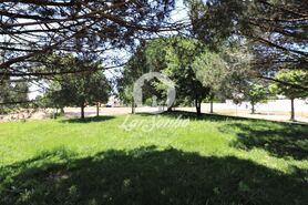 Terreno R�stico - Anta, Espinho, Aveiro - Miniatura: 4/9