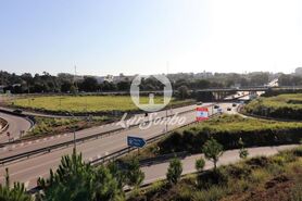 Terreno R�stico - Anta, Espinho, Aveiro - Miniatura: 5/9