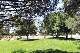 Terreno R�stico - Anta, Espinho, Aveiro - Miniatura: 2/11