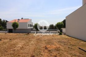 Terreno R�stico - Anta, Espinho, Aveiro - Miniatura: 3/11