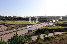 Terreno R�stico - Anta, Espinho, Aveiro - Miniatura: 7/11