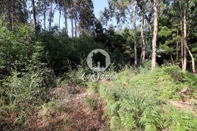 Terreno R�stico - Esmoriz, Ovar, Aveiro - Miniatura: 3/7