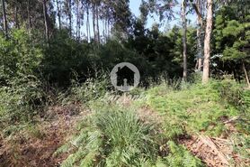 Terreno R�stico - Esmoriz, Ovar, Aveiro - Miniatura: 4/7