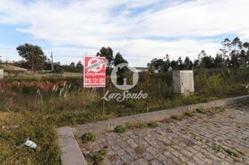 Terreno R�stico - Escap�es, Santa Maria da Feira, Aveiro - Miniatura: 2/15