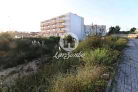 Terreno R�stico - Escap�es, Santa Maria da Feira, Aveiro - Miniatura: 3/15