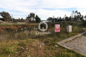 Terreno R�stico - Escap�es, Santa Maria da Feira, Aveiro - Miniatura: 6/15