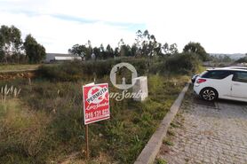 Terreno R�stico - Escap�es, Santa Maria da Feira, Aveiro - Miniatura: 11/15
