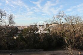 Terreno R�stico - Escap�es, Santa Maria da Feira, Aveiro - Miniatura: 12/15