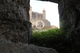 Terreno R�stico - Escap�es, Santa Maria da Feira, Aveiro - Miniatura: 15/15