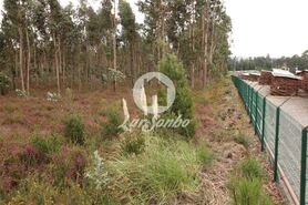 Terreno R�stico - Rio Me�o, Santa Maria da Feira, Aveiro - Miniatura: 1/20