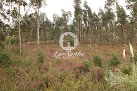 Terreno R�stico - Rio Me�o, Santa Maria da Feira, Aveiro - Miniatura: 4/20