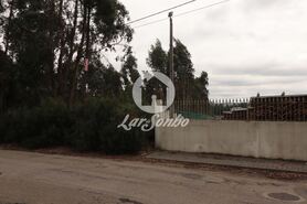 Terreno R�stico - Rio Me�o, Santa Maria da Feira, Aveiro - Miniatura: 6/20